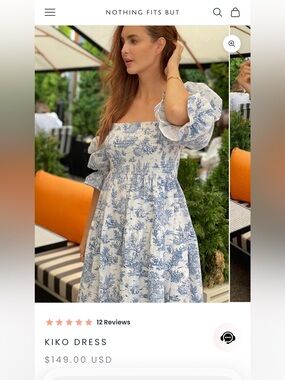 NWT Nothing Fits But Kiko Dress Blue Toile Linen Cotton M/L